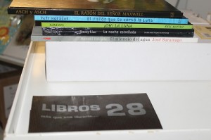 libros 28- Un ratón nocturno